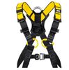 Picture of Newton Harness